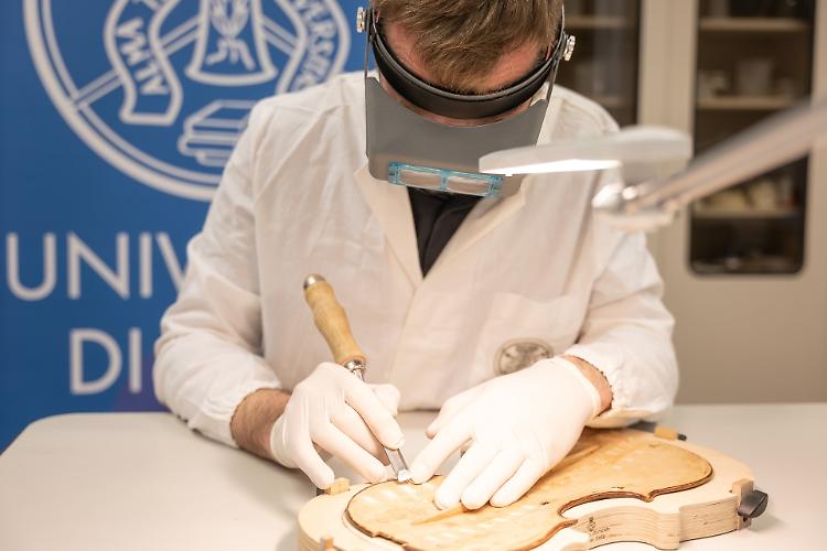 Al via il progetto del Polo cremonese dell'Università di Pavia