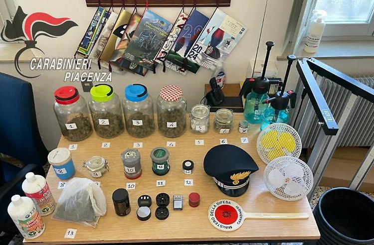 Serra di marijuana in casa: 26enne condannato a 16 mesi