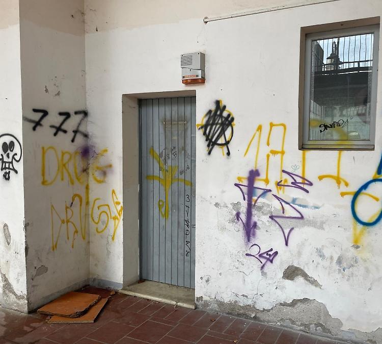 Vandali individuati e multati