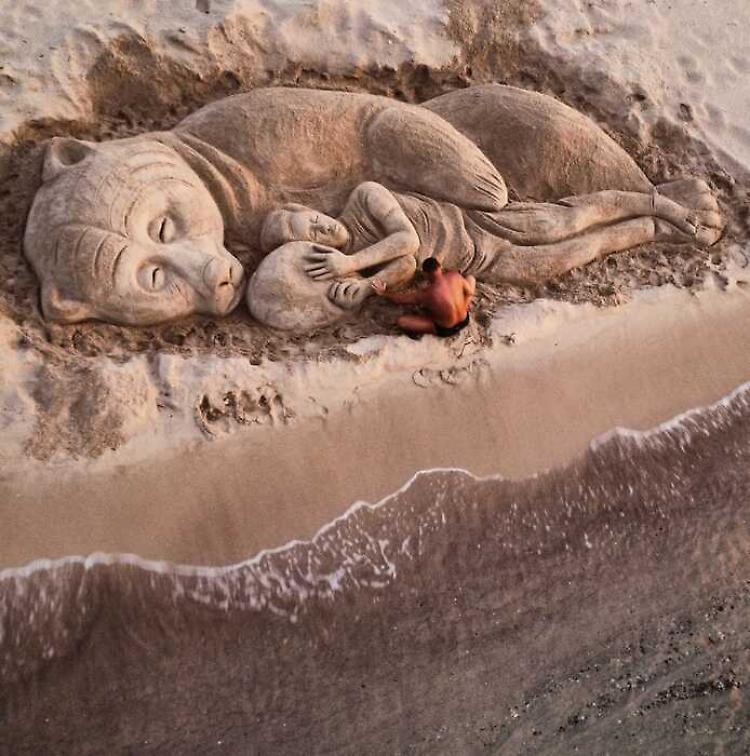 Scultura di sabbia in onore dell'orsa Kj1 abbattuta