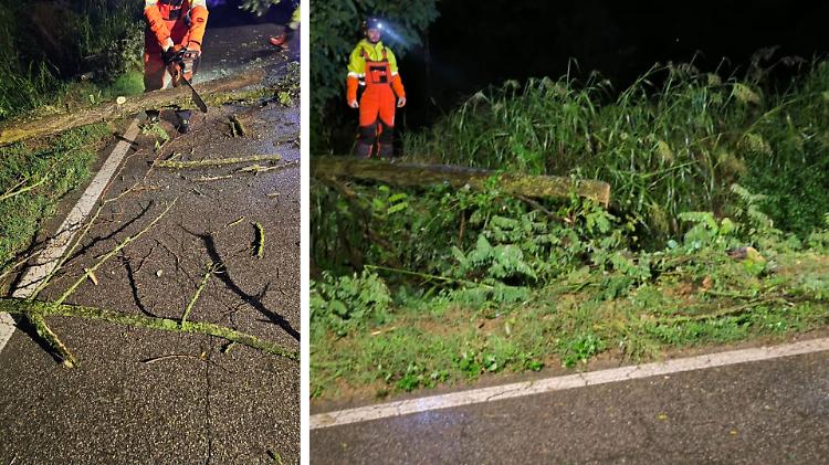 Maltempo: cade una pianta in via Miglioli, interviene la protezione civile