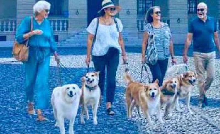 Le città d’arte con gli amici a 4 zampe