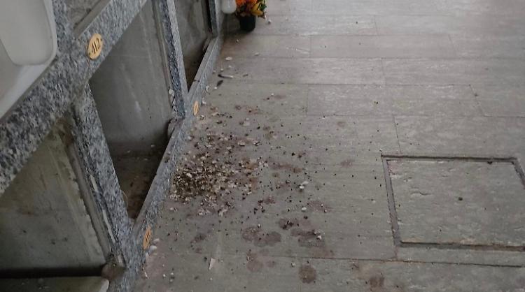 Piccioni padroni al cimitero, nodo decoro