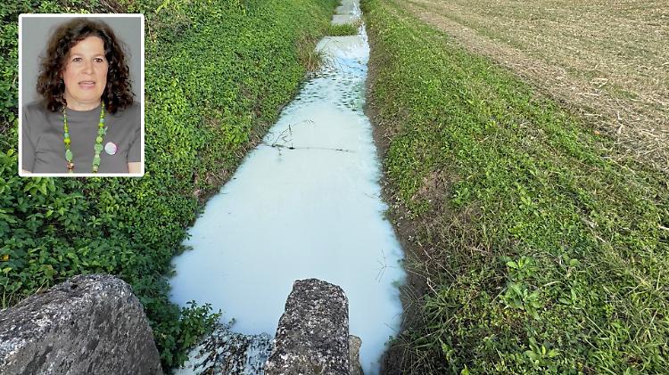 Acqua biancastra: resta il mistero