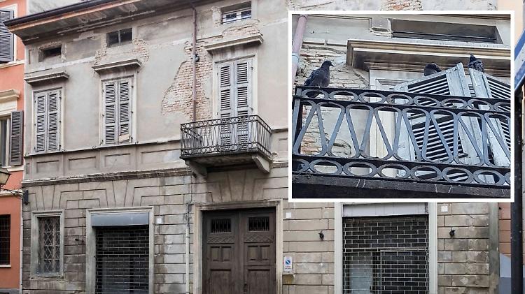 Casa ‘liberata’ dai piccioni, sollievo in via Beltrami