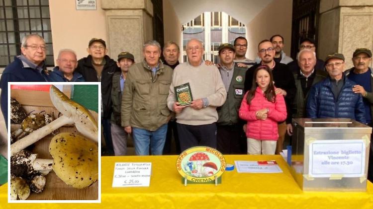 Allarme funghi killer: «Crescono nelle aiole»