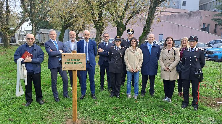 "Due alberi per la salute" all'Ospedale di Cremona