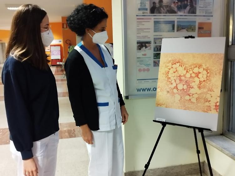 “Scientific Art in Hematology”: l'ematologia raccontata con le immagini al microscopio