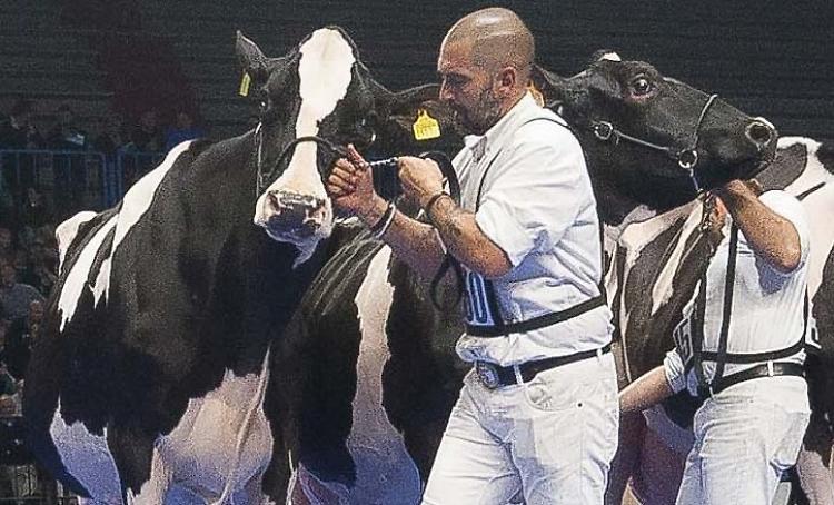 «Io sto con Cremona»