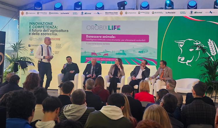 Dll'AI all'interconnessione: tre start up per la trasformazione delle aziende