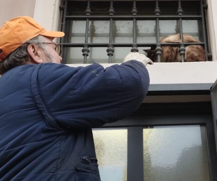 Intrappolato in municipio, il sindaco libera un gatto
