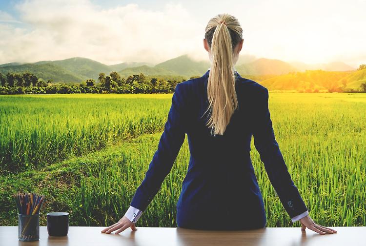 Aziende sempre più green: «Transizione, una priorità»