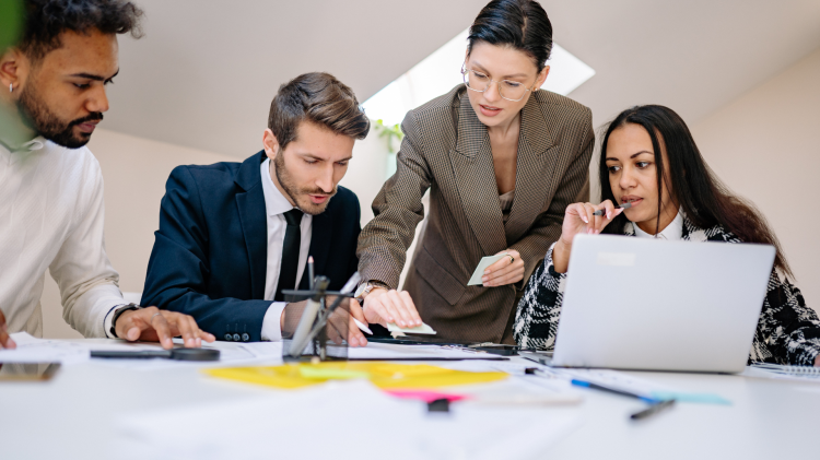 Cerchi un'occupazione stabile? Ecco le opportunità a tua disposizione