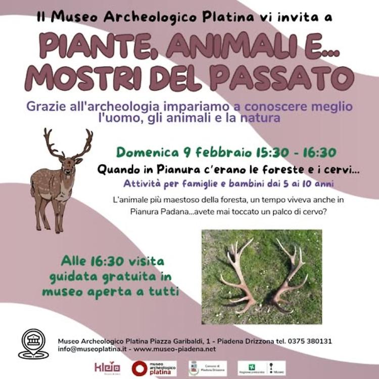 Quando in pianure c'erano le foreste e i cervi...