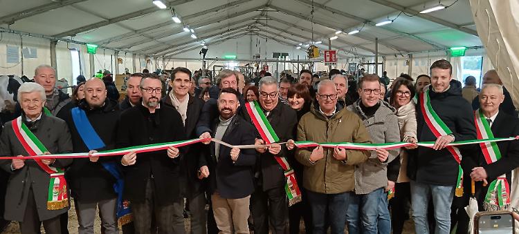 Sant’Apollonia: oltre 260 anni di storia per la fiera bovina più antica di Lombardia