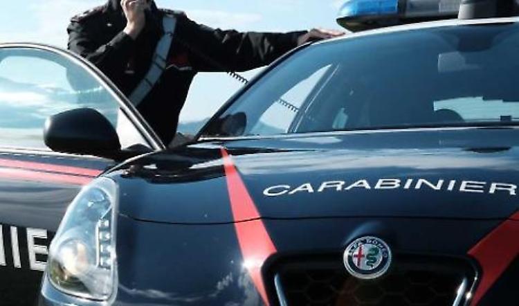Cremona, carabinieri: 1.071 controlli e 60 sanzioni
