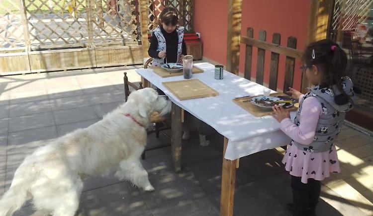 Infanzia, al doposcuola si studia e si gioca a contatto con i cani