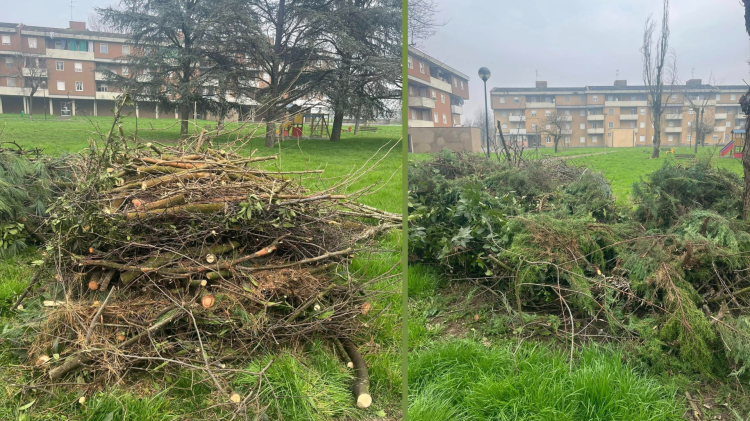 "I giardini di piazza Rauso discarica di ramaglie"