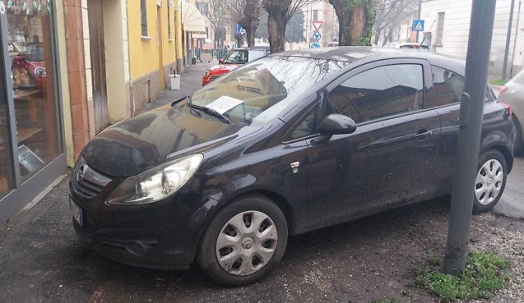 «Disabili da tutelare»