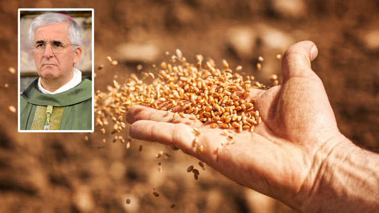 C'è bisogni di coltivatori e seminatori di speranza