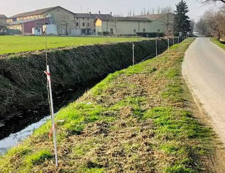 Via Luignano, rimossi 50 giovani pioppi