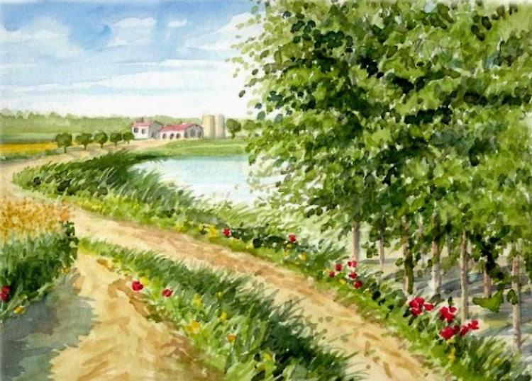 "La natura immaginata:  SONCINO E OLTRE" Riccardo Bozuffi