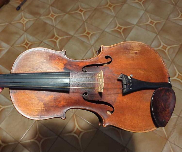 ‘Topi’ di cantine: via bottiglie e violini