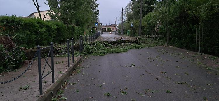 Cremasco nella morsa del vento: alberi caduti e parchi chiusi