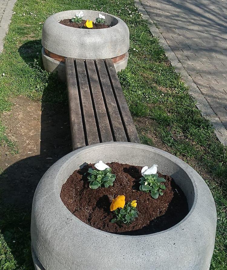 Piante e fiori vandalizzati, il viale dei Diciottenni nel mirino