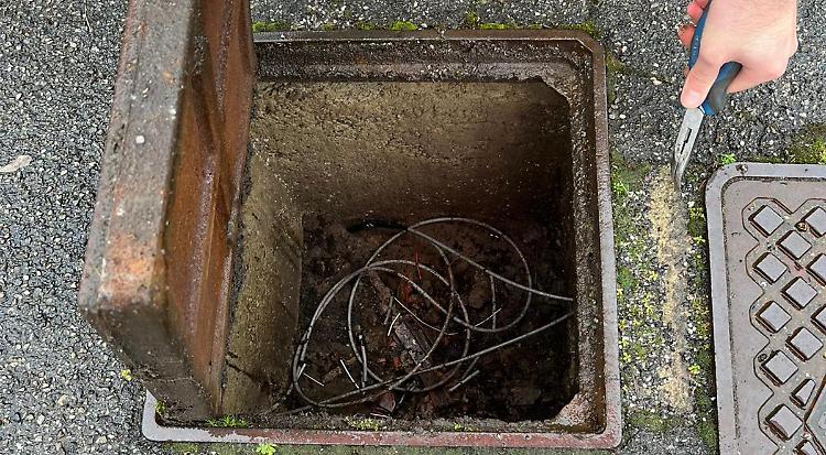 Topi nelle fognature danneggiano i cavi: anziani senza telefono