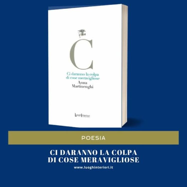 Presentazione del libro "Ci daranno la colpa di cose meravigliose"