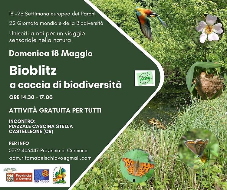 Natura, farfalle e biodiversità al Bosco Didattico
