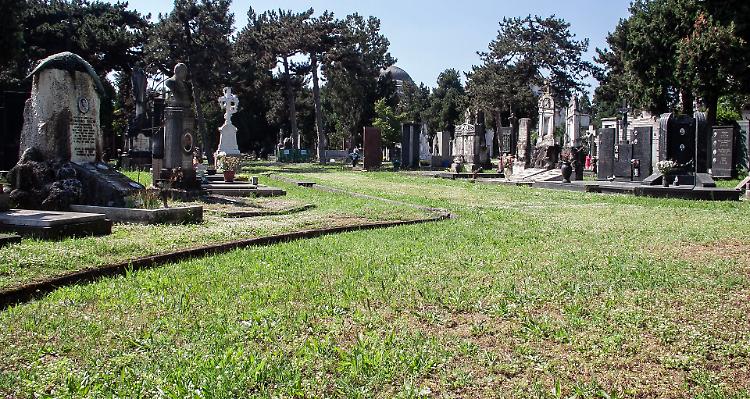 Cura e decoro al Civico Cimitero