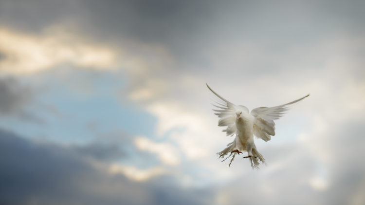 Pentecoste, fuoco che rinnova: la libertà di chi crede