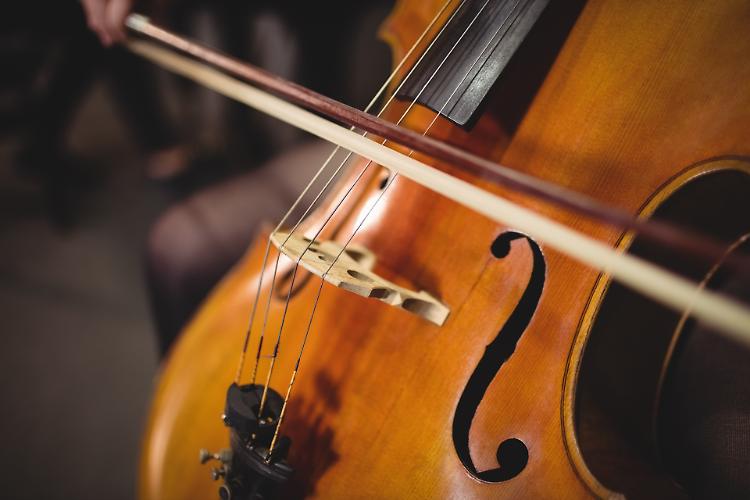 I concerti del mercoledì in Biblioteca 