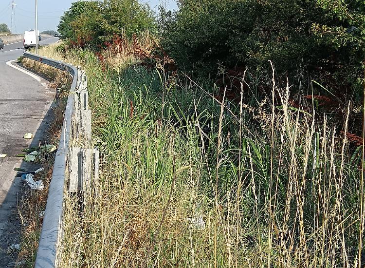 Rischio incendi: «Quell’erba va tagliata»