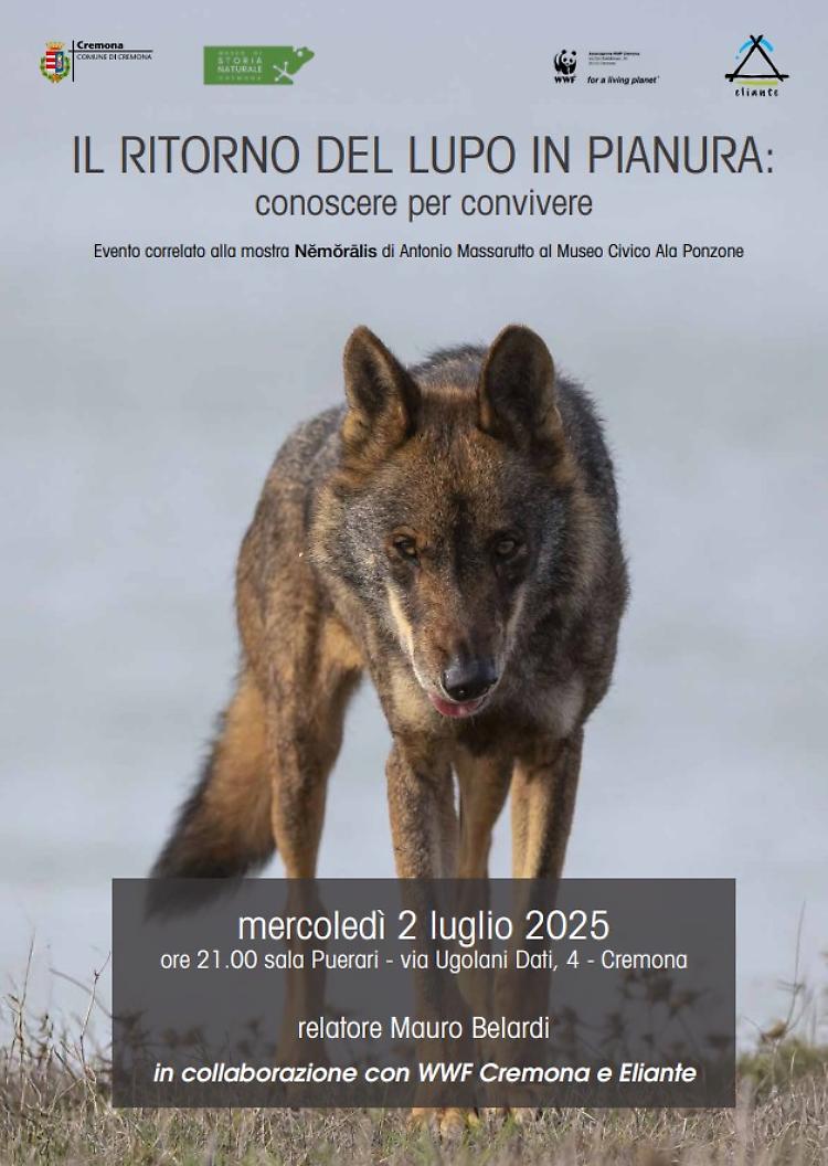Il ritorno del lupo in pianura: conoscere per convivere