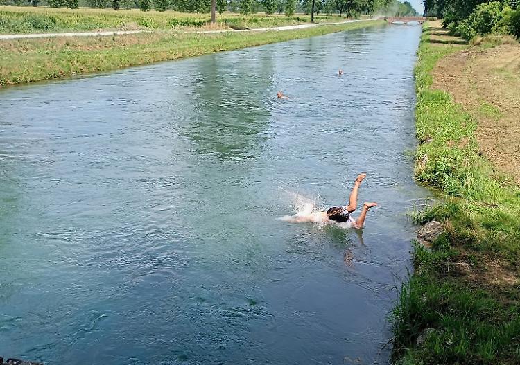 Tuffi proibiti nel canale, Polizia locale mobilitata