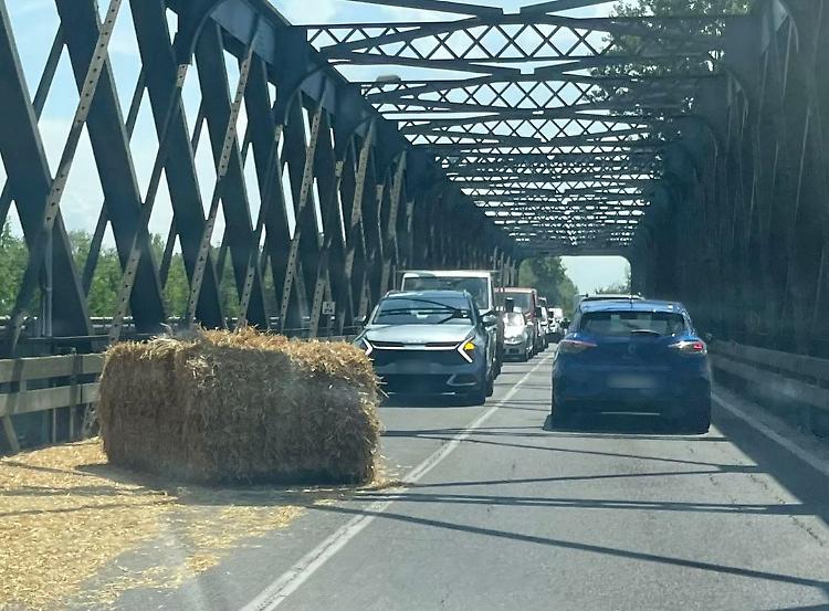 Balloni in strada, caos sulla Padana Inferiore