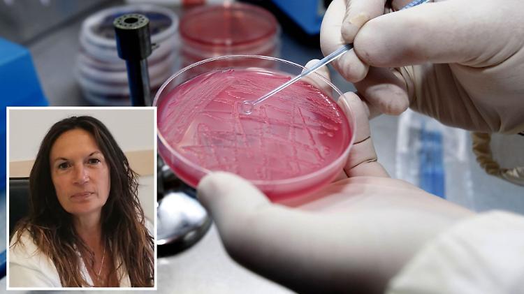 Legionella, il bilancio: due vittime e 19 casi