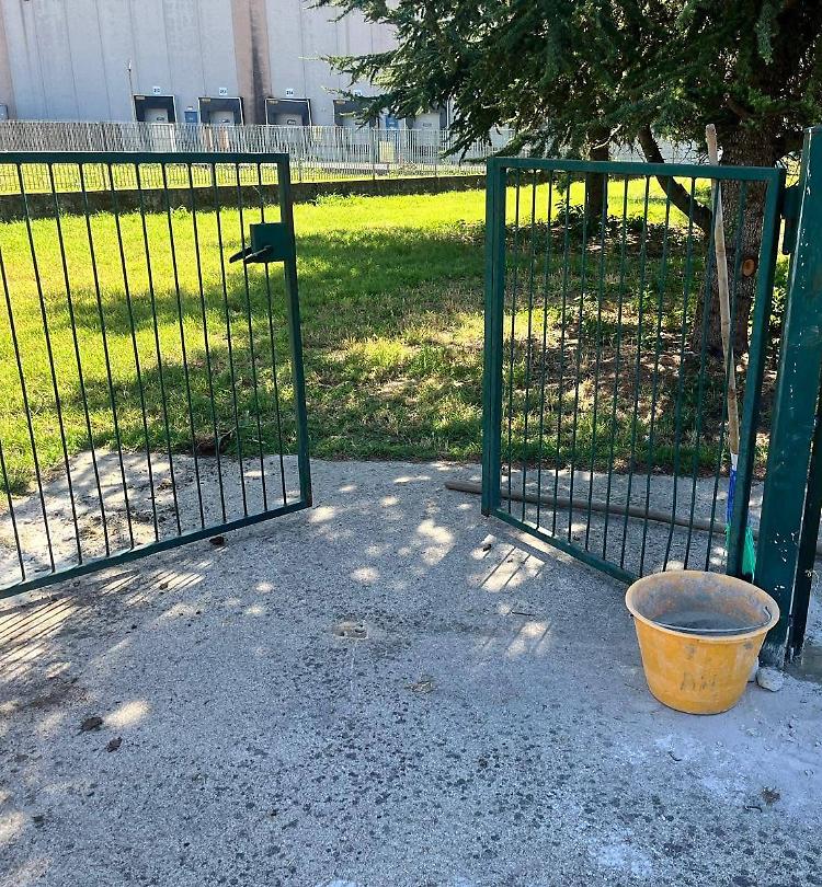 Mai più un giorno da cani