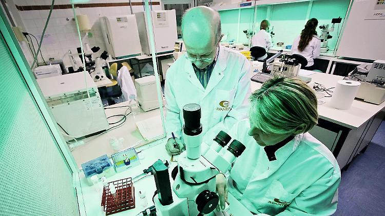 Avantea premiata per i trapianti 4.0