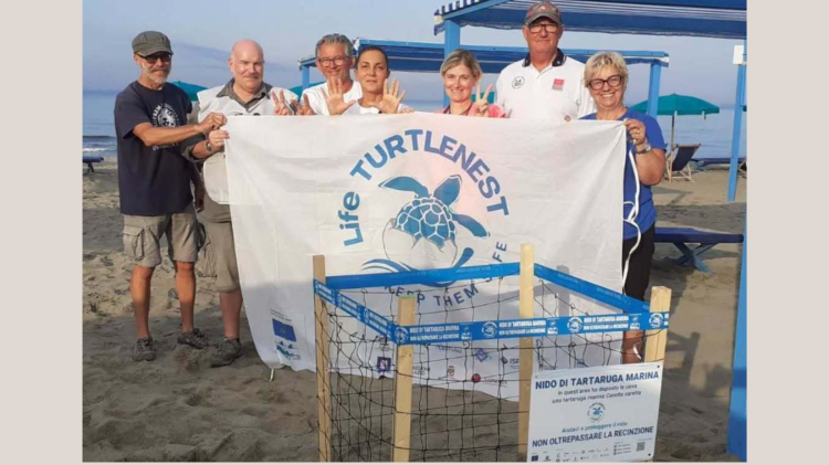 La tartaruga nidifica sulla spiaggia di Forte