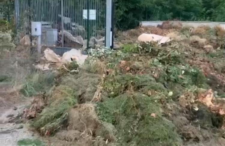 «La piazzola ecologica un’area abbandonata»