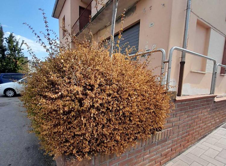 «L'ex farmacia comunale abbandonata»