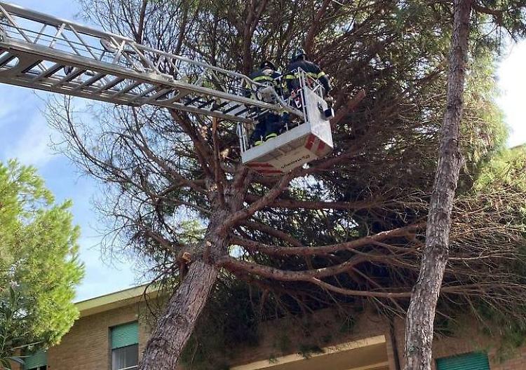 Maltempo in Romagna, i pompieri di Cremona in soccorso