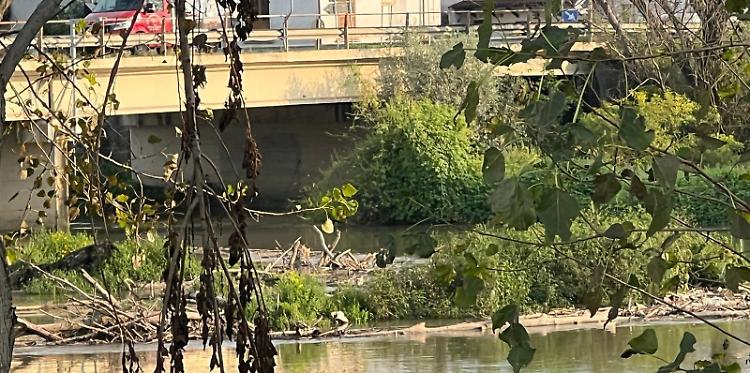 Altri tronchi: i soliti problemi