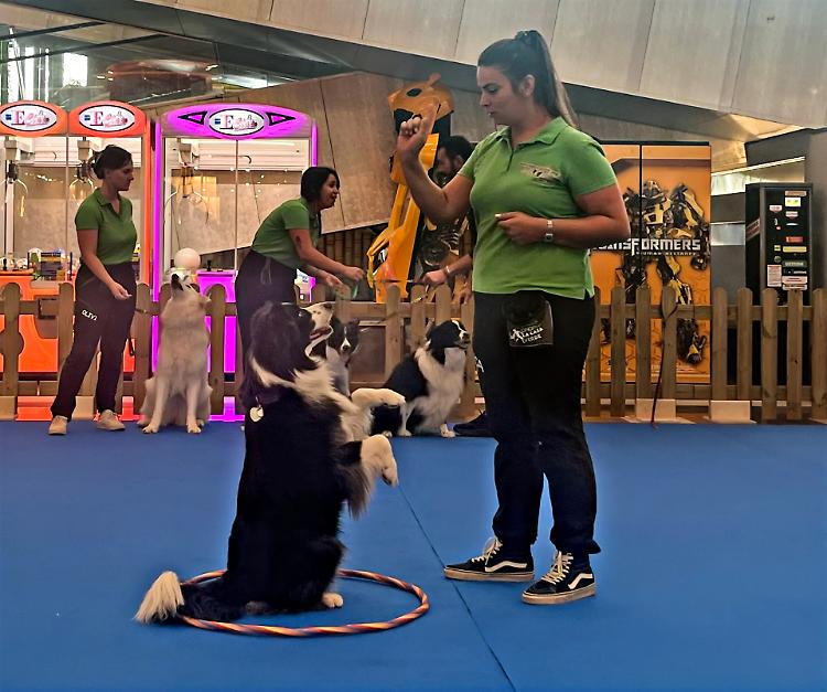 Il PetsFestival si svela  al Cremona Po