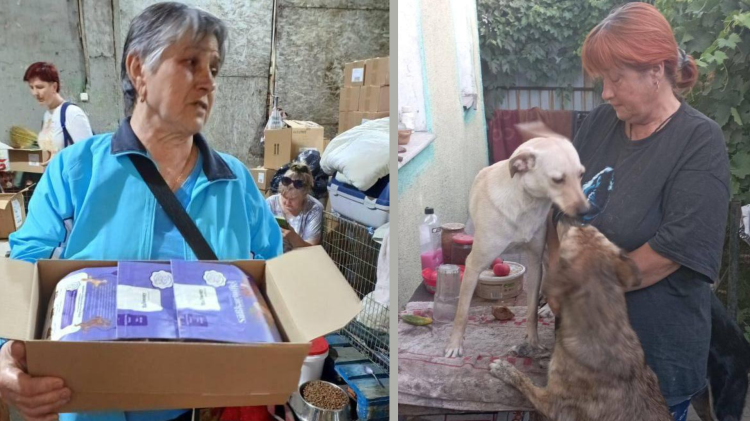 Ucraina, rifugi sicuri per cani e gatti in fuga dalla guerra