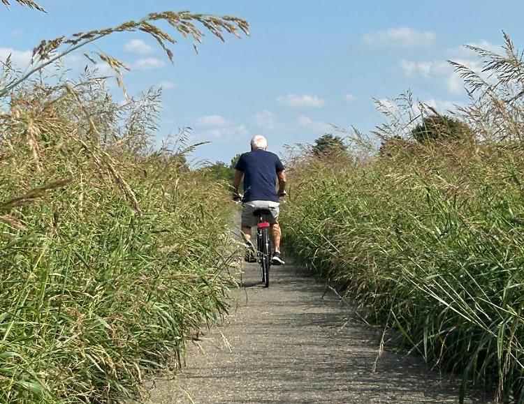 Ciclabile invasa dall’erba